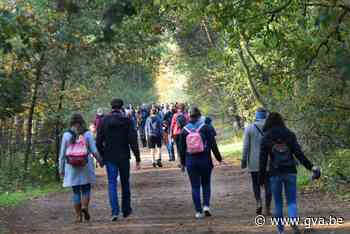 Grenspark Kalmthoutse Heide kandidaat voor titel nationaal park - Gazet van Antwerpen