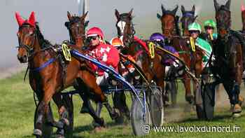 Arras : l'hippodrome des Hauts-Blancs-Monts ouvre sa saison… à huis clos ! - La Voix du Nord
