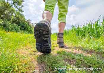 Shropshire Tasty Trail to bring food lovers out to the countryside - shropshirestar.com
