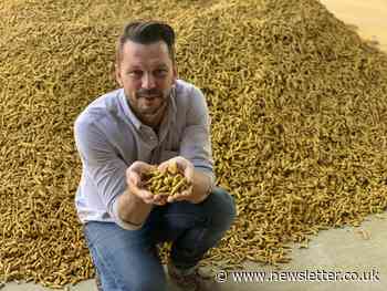 It gets spicy for Jimmy in Food Unwrapped - Belfast News Letter