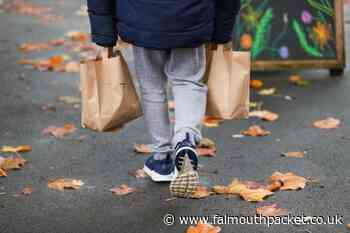 Food insecurity to be a long term issue for people living in Cornwall, report says - Falmouth Packet