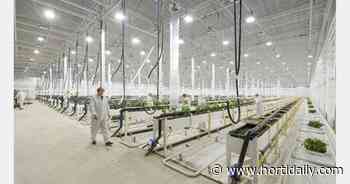 "If you add 1 kg of fish food, it will produce 1 kg of fish and 10-12 kg of vegetables" - hortidaily.com