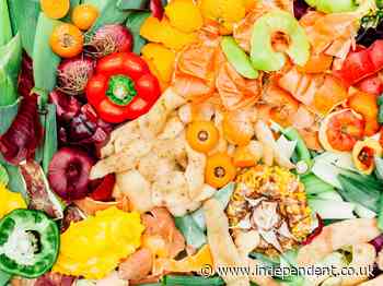 Top tips and delicious recipes to help you cut down on food waste - The Independent