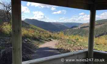 Natural Resources Wales to help manage Forest Drive at Cwmcarn - Wales247