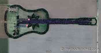 Farmer Spends Decades Growing Guitar-Shaped Forest With Over 7000 Trees in Memory of His Late Wife - My Modern Met