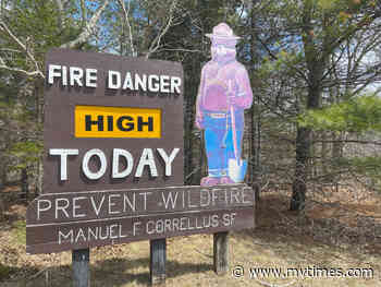 Deadwood sparks concern over forest fires - Martha's Vineyard Times