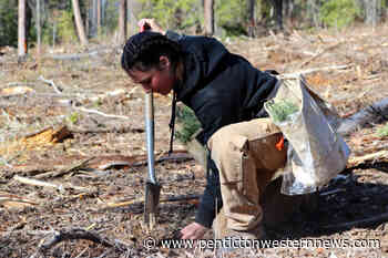 WATCH: Kelowna forestry students show the beauty of the forest – Penticton Western News - Penticton Western News