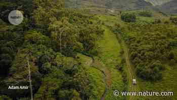 African forest maps reveal areas vulnerable to the effects of climate change - Nature.com