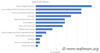 What Burkina Faso can teach us about forest restoration - World Economic Forum
