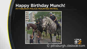 Pittsburgh Mounted Patrol Horse ‘Munch’ Celebrates 10th Birthday