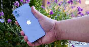iPhone 12's new purple color is pastel perfection     - CNET