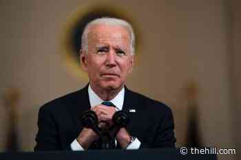 Biden sees record approval among college-age Americans in Harvard poll