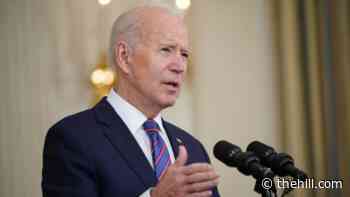 Biden to take first overseas trip as president in June for G7, NATO summits