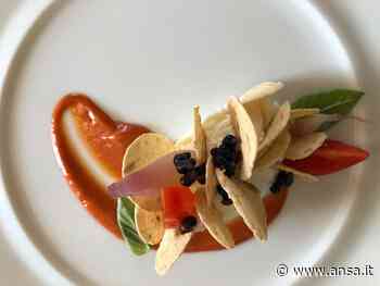 Aceto Balsamico Modena,produzione globale di 90 mln di litri - Terra & Gusto - Agenzia ANSA