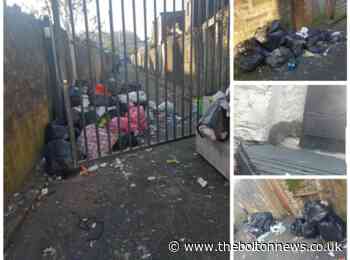 Rats running wild in Blackburn alleys as residents call on council to take action against 'disgusting' tenants