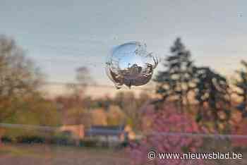 Kogel afgevuurd op ruit van kinderkamer: kleuter van 4 jaar schrikt wakker van slag