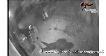 Lecce, ladro seriale di attività commerciali arrestato a Putignano - La Gazzetta del Mezzogiorno