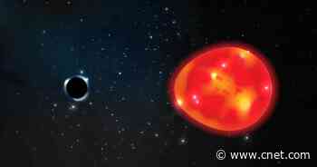 The nearest black hole to Earth ever seen is a tiny 'unicorn'     - CNET