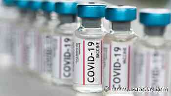 Fact check: No luciferase enzymes – or satanic connections – in coronavirus vaccines - USA TODAY