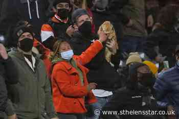 Therapy rabbit brings smiles to stands at baseball match - St Helens Star