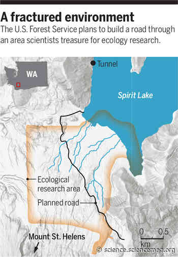 Researchers decry planned road near St. Helens - Science Magazine