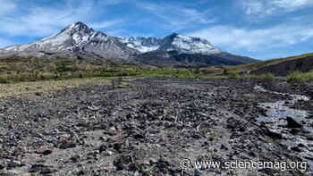 Planned service road near Mount St. Helens threatens prized research area - Science Magazine