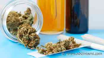 Companies Sue City of Miami Over Blocking Medical Marijuana Facilities From Opening - NBC 6 South Florida