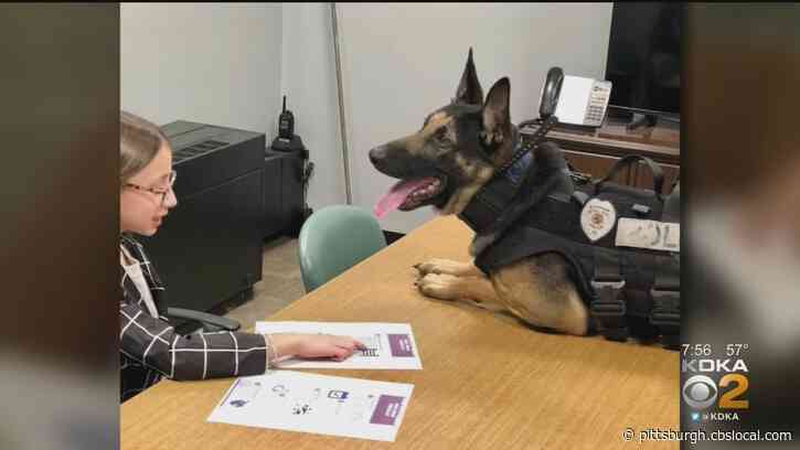 Ambitious Fifth-Grader Teams Up With Bethel Park Police Dog To Make Big Difference