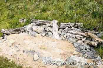 Lebensräume für Eidechse und Spatz - Mannheimer Morgen