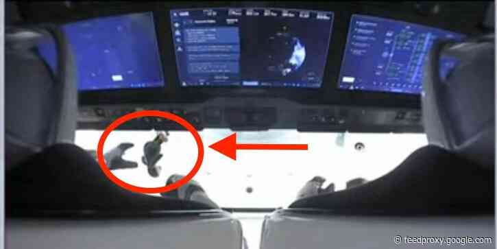 SpaceX's new astronaut crew brought a cute, fluffy penguin toy named 'Guin Guin' into orbit