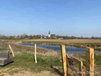 Hond Bob opent losloopweide in Kessenich (Kinrooi) - Het Belang van Limburg Mobile - Het Belang van Limburg