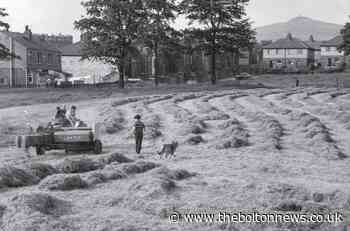Making hay as sun shines