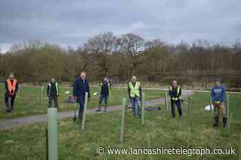 Chorley: Firm joins Ribble Rivers Trust Lancashire tree planting scheme