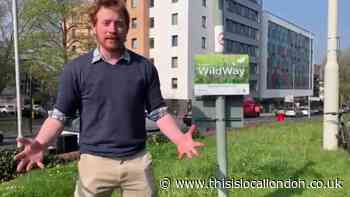 Kingston and Richmond grass verges to be cut less often