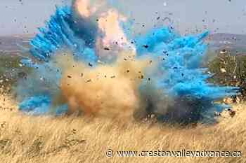 Gender reveal party explosion rocks several U.S. towns - Creston Valley Advance