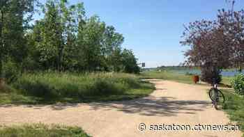 Police to investigate alleged arson at Saskatoon's Northeast Swale - CTV News Saskatoon