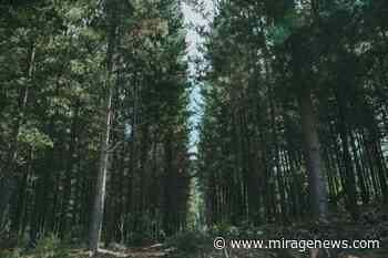 WWF, Sofia Vergara, and Marc Anthony team up to celebrate extraordinary biodiversity of Latin America with animated film - Mirage News