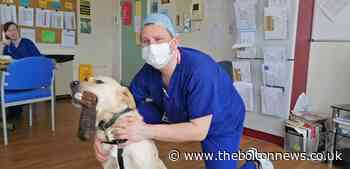 Mason a support dog visits Royal Bolton Hospital
