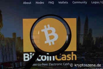Bitcoin Cash Kurs Prognose: BCH/USD klettert über $1.000 – Kursziel $4.358,92? - Kryptoszene.de