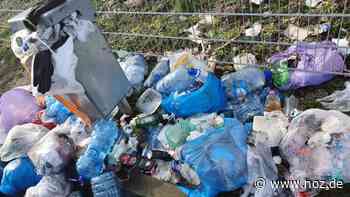 Abfalleimer im Industriegebiet quellen über: Dissen vermüllt: Was sagt der Bürgermeister? - noz.de - Neue Osnabrücker Zeitung