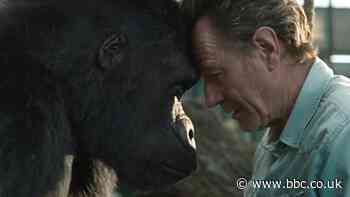 The One and Only Ivan: How we brought the animals to life