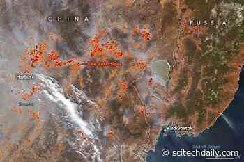 Fires in the Far East Captured From Space