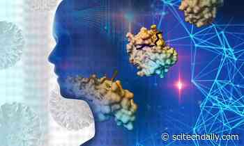 New Biochemical Clues in Cell Receptors Help Explain How Coronavirus May Hijack Human Cells