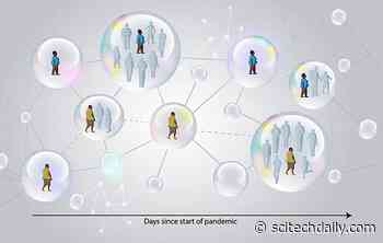 Model Shows Temporary Herd Immunity Emerged During the Early COVID Epidemic – But Got Destroyed