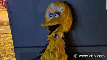Police hunting 'Big Bird Bandits' who allegedly stole 'Sesame Street' costume make arrests