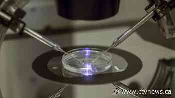 Ontario fertility clinics left in limbo after directive to cease non-emergency procedures