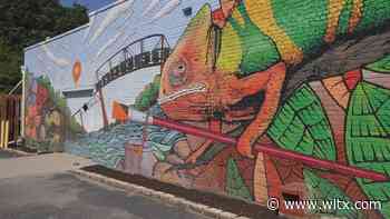 City of Cayce gives update on River Arts District - WLTX.com