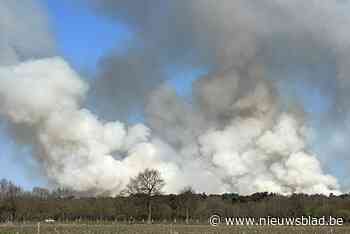 Grote natuurbranden in het voorjaar: “Pijpenstrootje brandt dan als hooi”