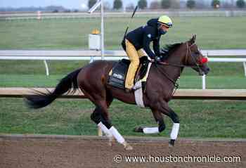 The Houston connection behind Kentucky Derby contender Hot Rod Charlie - Houston Chronicle