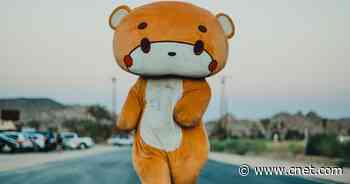 This is Bearsun, an Instagram teddy bear walking 400 miles for charity     - CNET